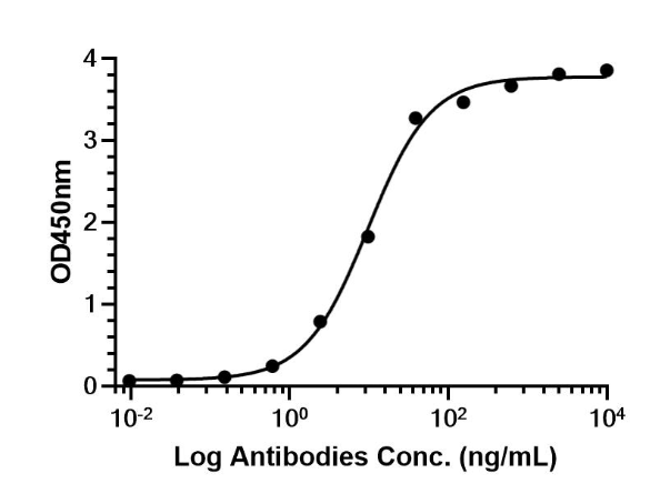 Anti-Mouse PD-L1/B7-H1 Antibody 1 mg