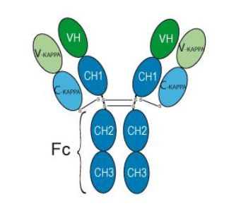 Infliximab 1 mg