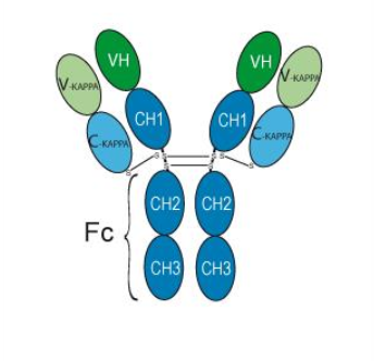 Cetuximab 1 mg