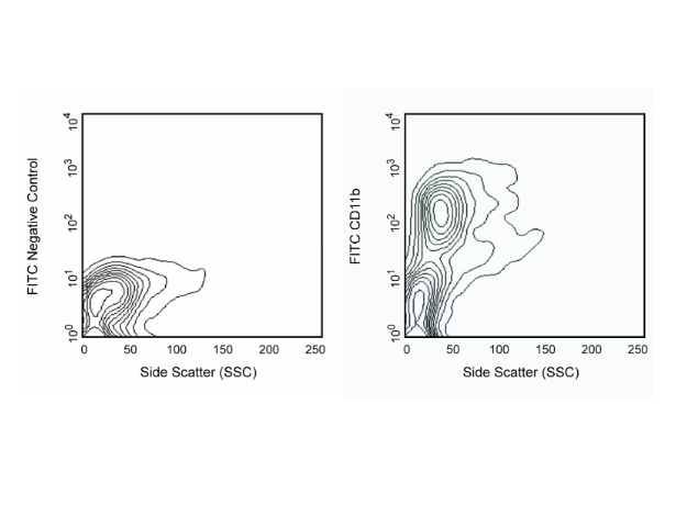 BD Pharmingen™ FITC Rat Anti-CD11b
