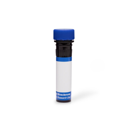 BD Pharmingen™ PE-Cy™7 Rat Anti-Mouse TNF
