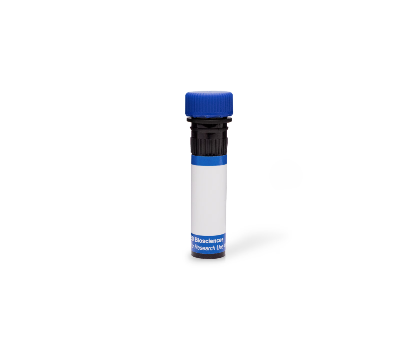 BD Pharmingen™ PE-Cy™7 Rat Anti-Human CCR7 (CD197)