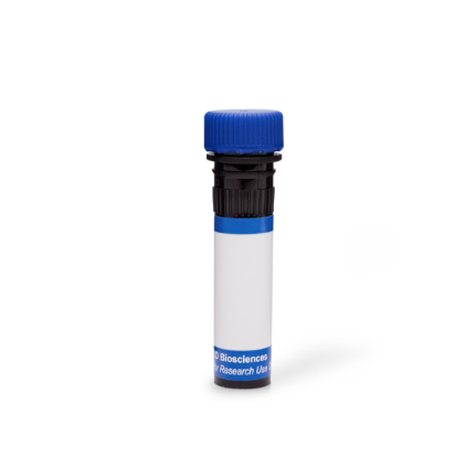BD Pharmingen™ PE-Cy™7 Hamster Anti-Mouse CD11c