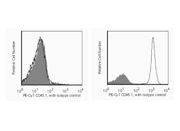 BD Pharmingen™ PE-Cy™7 Mouse Anti-Mouse CD45.1
