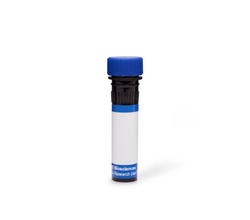 BD Pharmingen™ PE-Cy™7 Mouse Anti-Mouse CD45.1