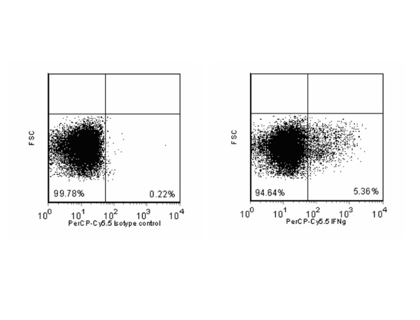 BD Pharmingen™ PerCP-Cy™5.5 Rat Anti-Mouse IFN-γ