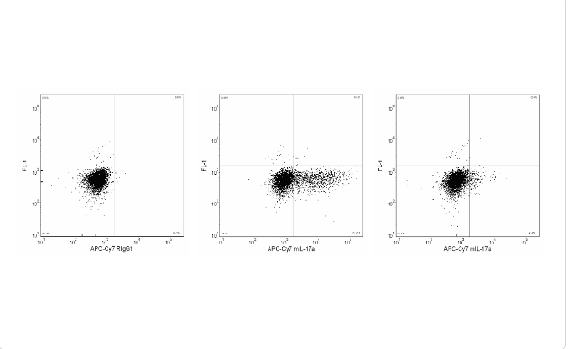 BD Pharmingen™ APC-Cy™7 Rat Anti-Mouse IL-17A