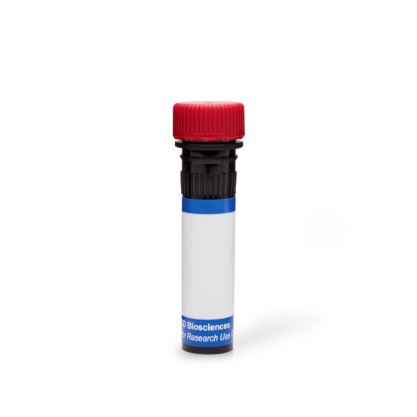 BD Pharmingen™ PE Rat Anti-Mouse Ly-6G