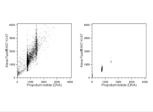 BD Pharmingen™ Alexa Fluor® 647 Mouse anti-Ki-67