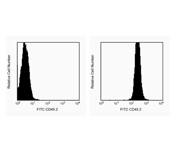 BD Pharmingen™ FITC Mouse Anti-Mouse CD45.2