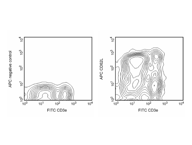 BD Pharmingen™ APC Rat Anti-Mouse CD62L