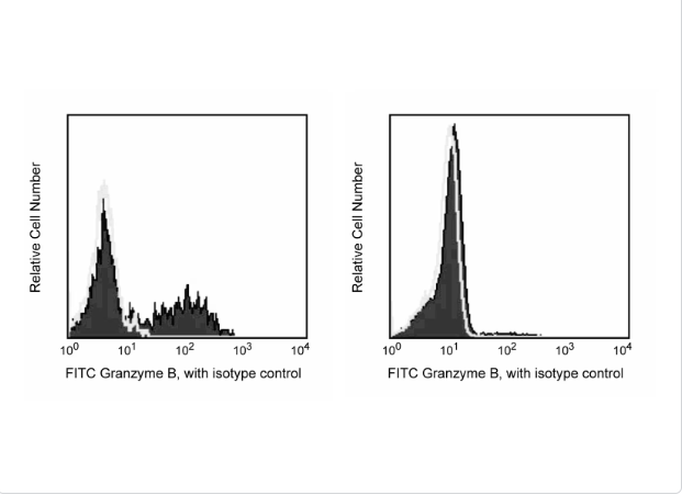 BD Pharmingen™ FITC Mouse anti-Human Granzyme B