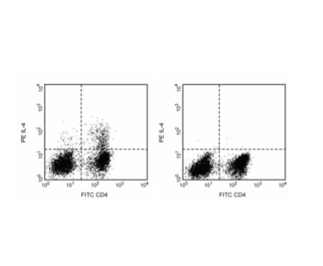 BD Pharmingen™ PE Rat Anti-Mouse IL-4