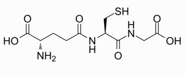L-Glutathione reduced 500 mg