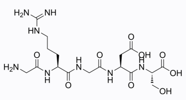 Gly-Arg-Gly-Asp-Ser 2 mg
