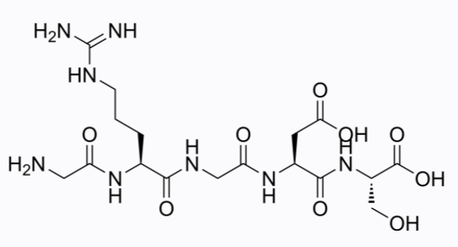 Gly-Arg-Gly-Asp-Ser 2 mg