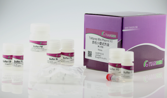 质粒小提试剂盒200次