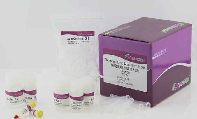 快速质粒小提试剂盒50次