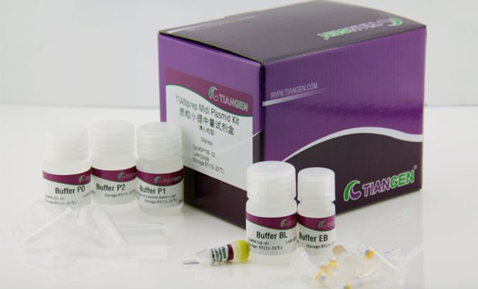 质粒小提中量试剂盒50次