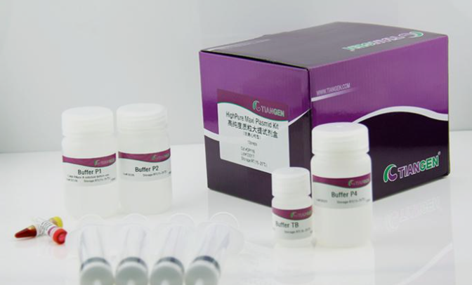 高纯度质粒大提试剂盒10次