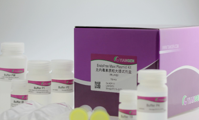 无内毒素质粒大提试剂盒10次