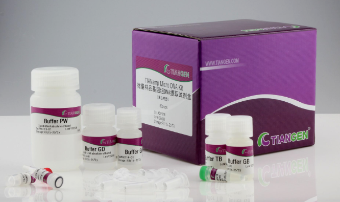 微量样品基因组 DNA 提取试剂盒50次