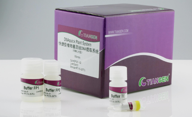 快捷型植物基因组 DNA提取系统50次