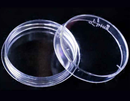 四氟培养皿 40mm|40mm