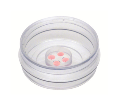 u-Dish35mm 高壁 预置4孔插件培养皿 ibiTreat底部处理|4孔