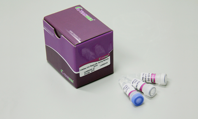 TIANSeq末端修复 dA 添加模块96rxn